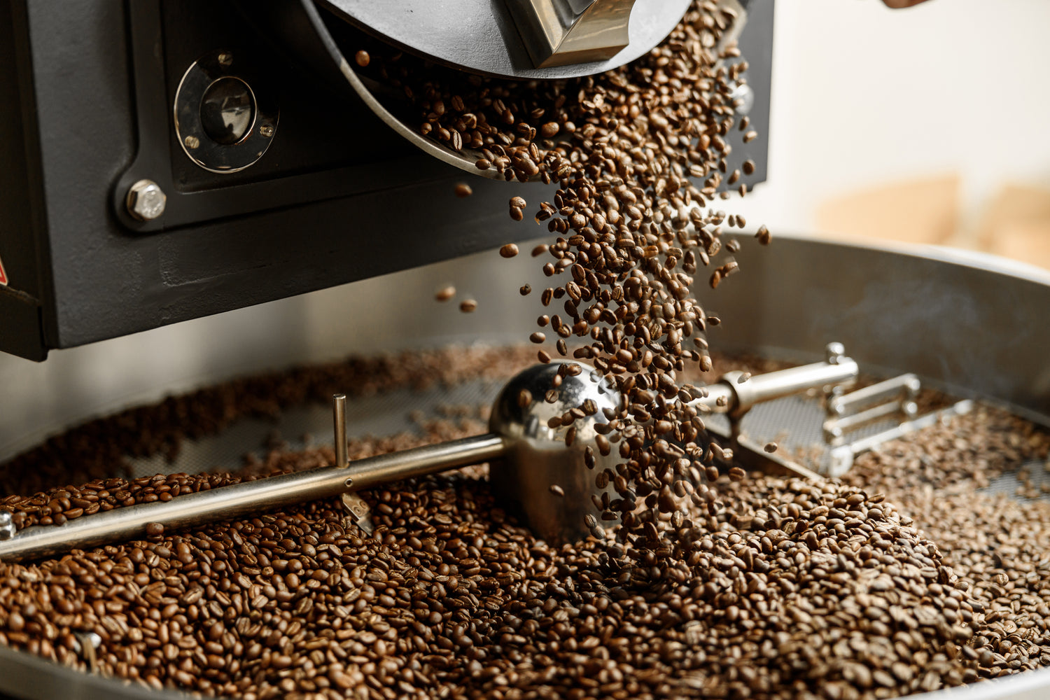 Fresh Roasted Coffee Beans Online